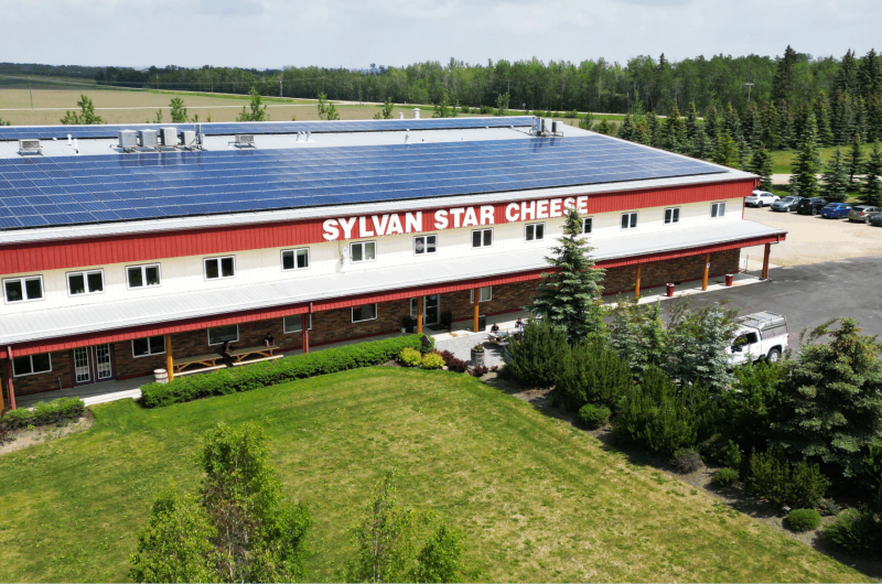 Sylvan Star Cheese